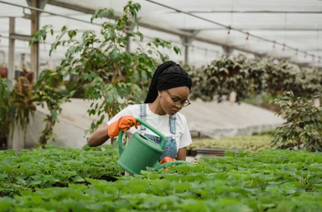 Ultrices sagittis orci a scelerisque purus semper eget duis at. Sollicitudin nibh sit amet.